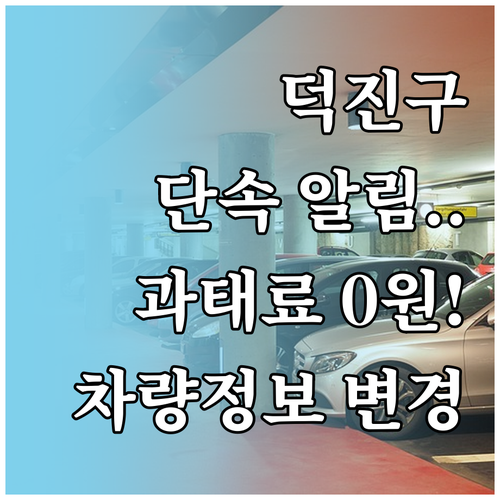 전주 덕진구 주정차 단속 문자 알림 ..