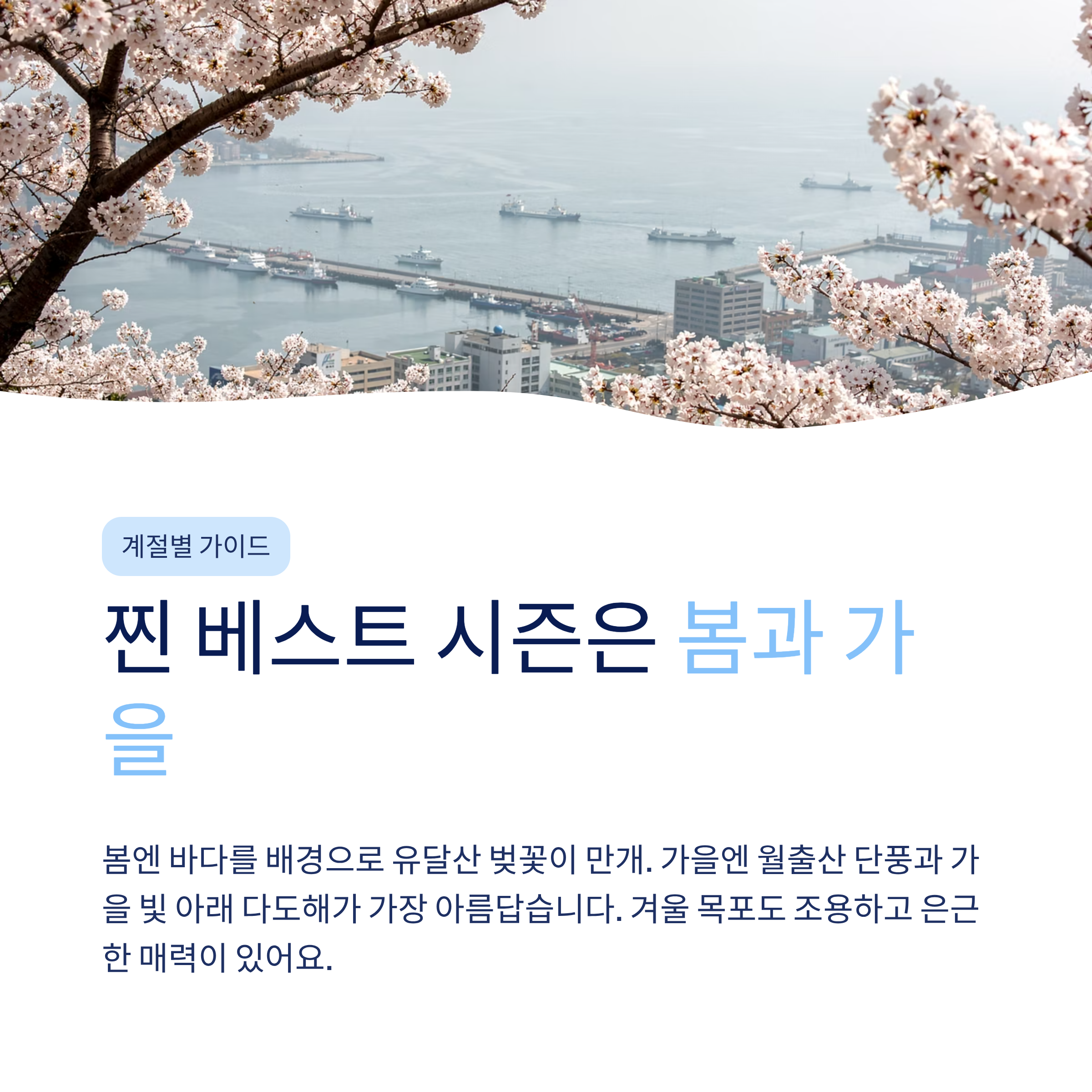 목포 근교 산책 달리기 트레킹 코스 추천 ❘ 서해 끝자락 항구도시를 두 발로 걷는 법