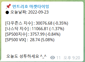 먼트리호 마켓 타이밍 텔래그램 채널
