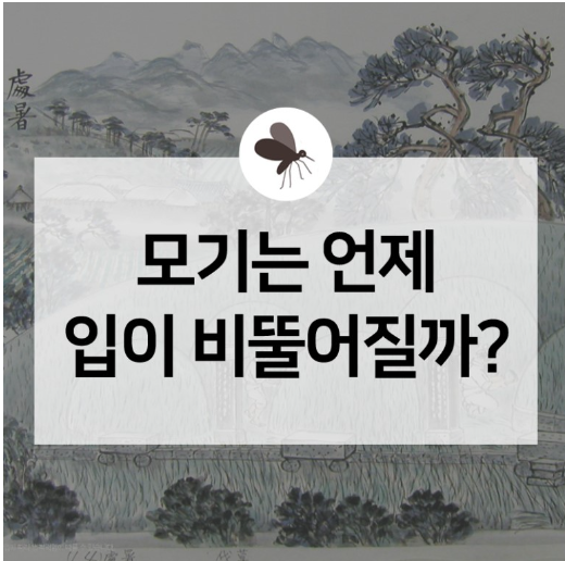 처서 뜻 모기가 입이 비뚤어지는 이유?