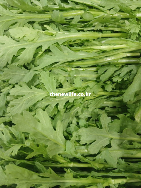 100g당 19kcal 저칼로리 고영양성분 채소 쑥갓 실물 사진