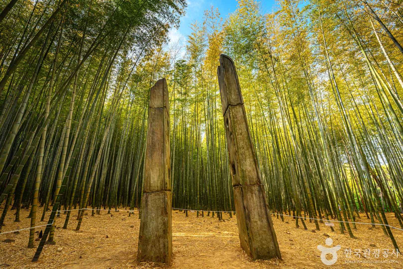 부산 아홉산숲 예약