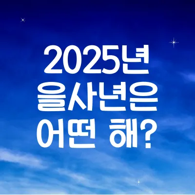 을사년 의미와 역사