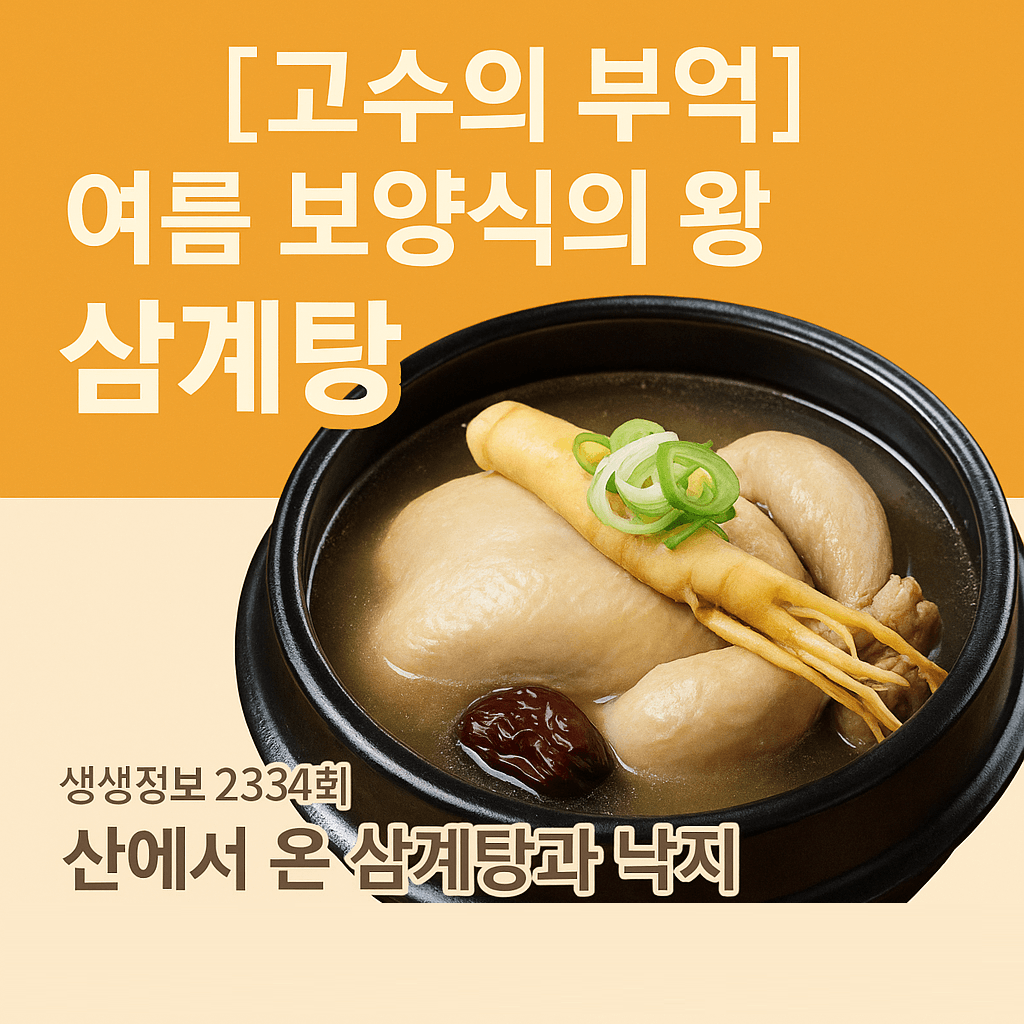 생생정보 2334회 고수의 부엌 여름 보양식의 왕! 삼계탕 경북 구미 맛집 산에서 온 삼계탕과 낙지