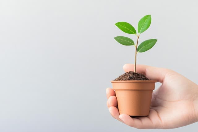 지자체가 운영하는 ‘그린 빈집 은행’ 시스템 사례 비교