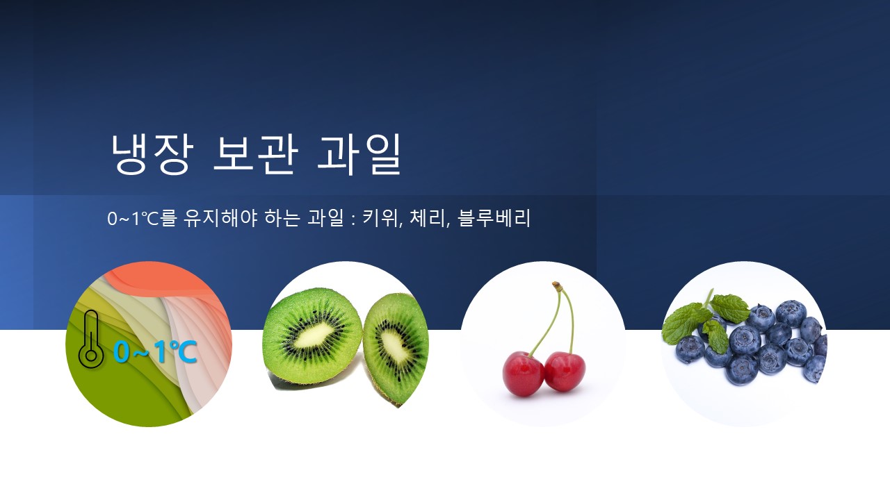 냉장 보관 과일