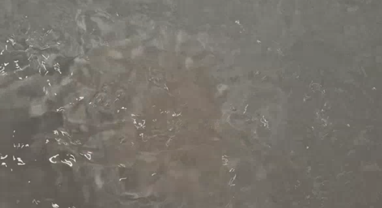 모요쿠 쿠라바스 내돈내산