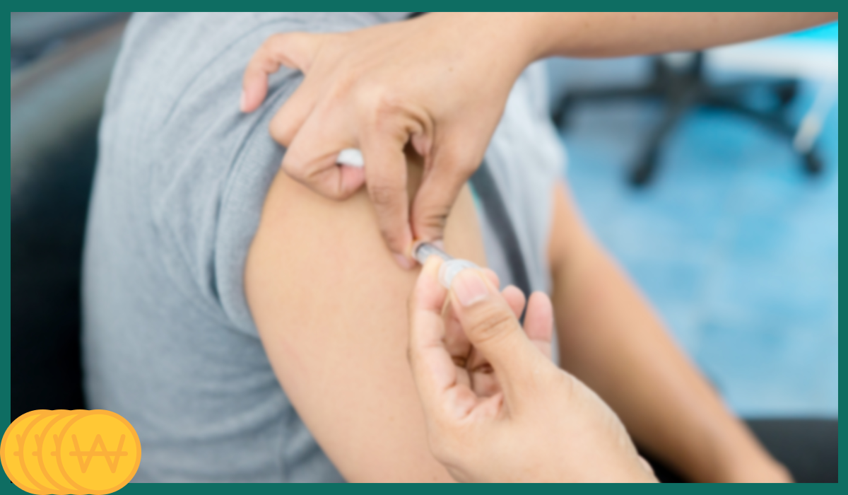 독감예방접종시기