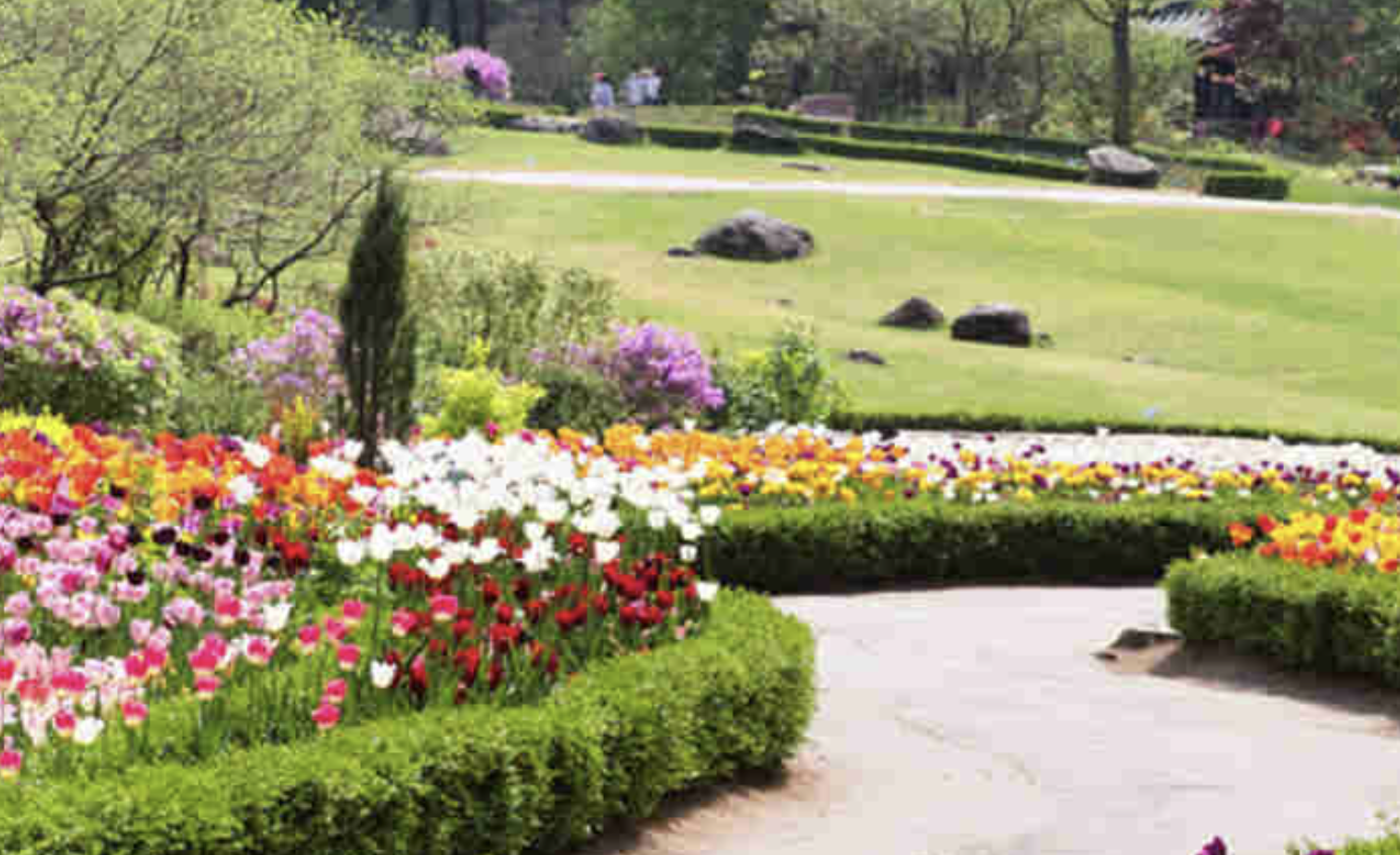 아침고요수목원