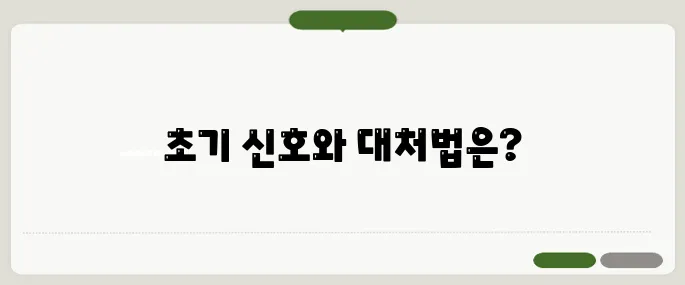 목디스크 증상 초기 신호와 치료법