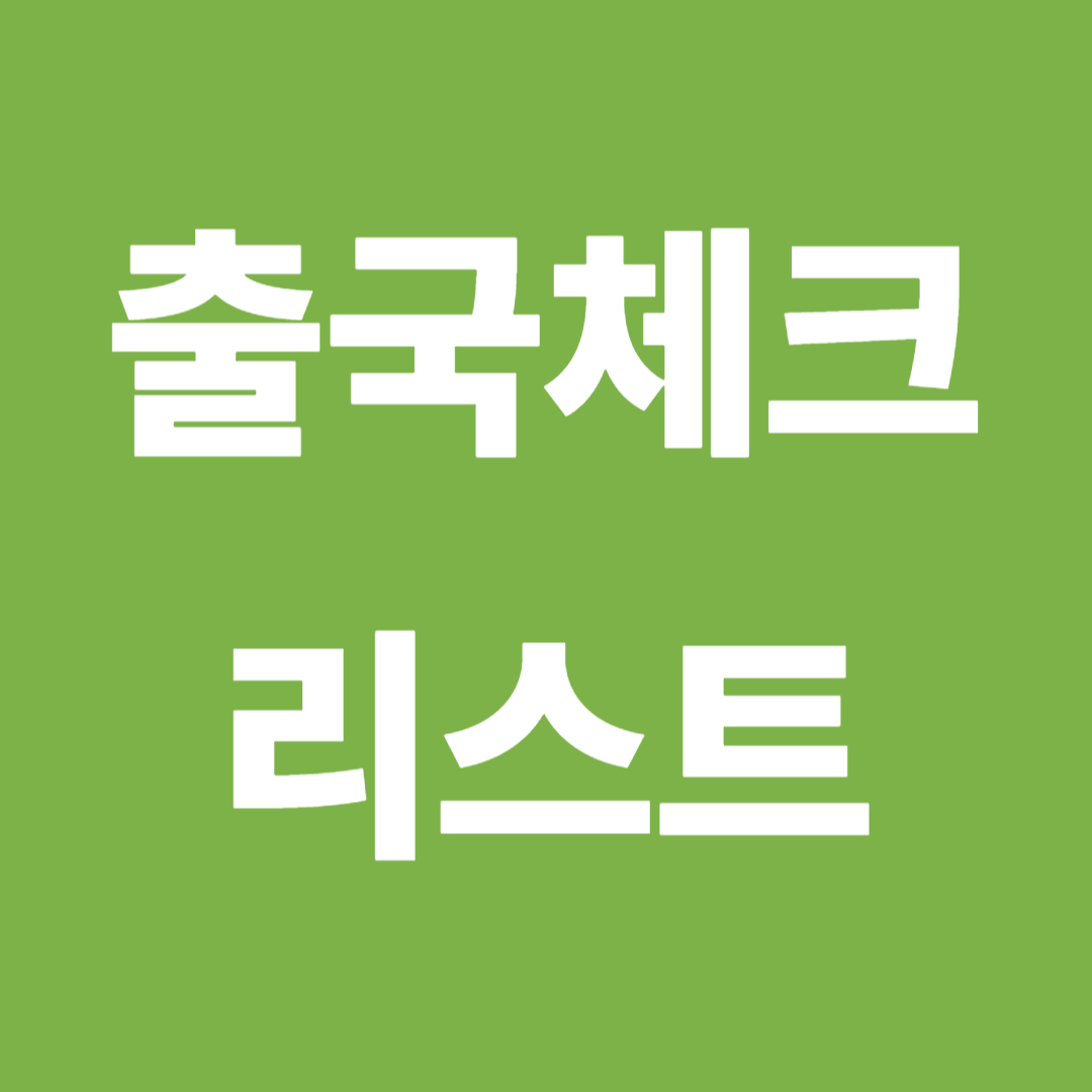 출국체크리스트