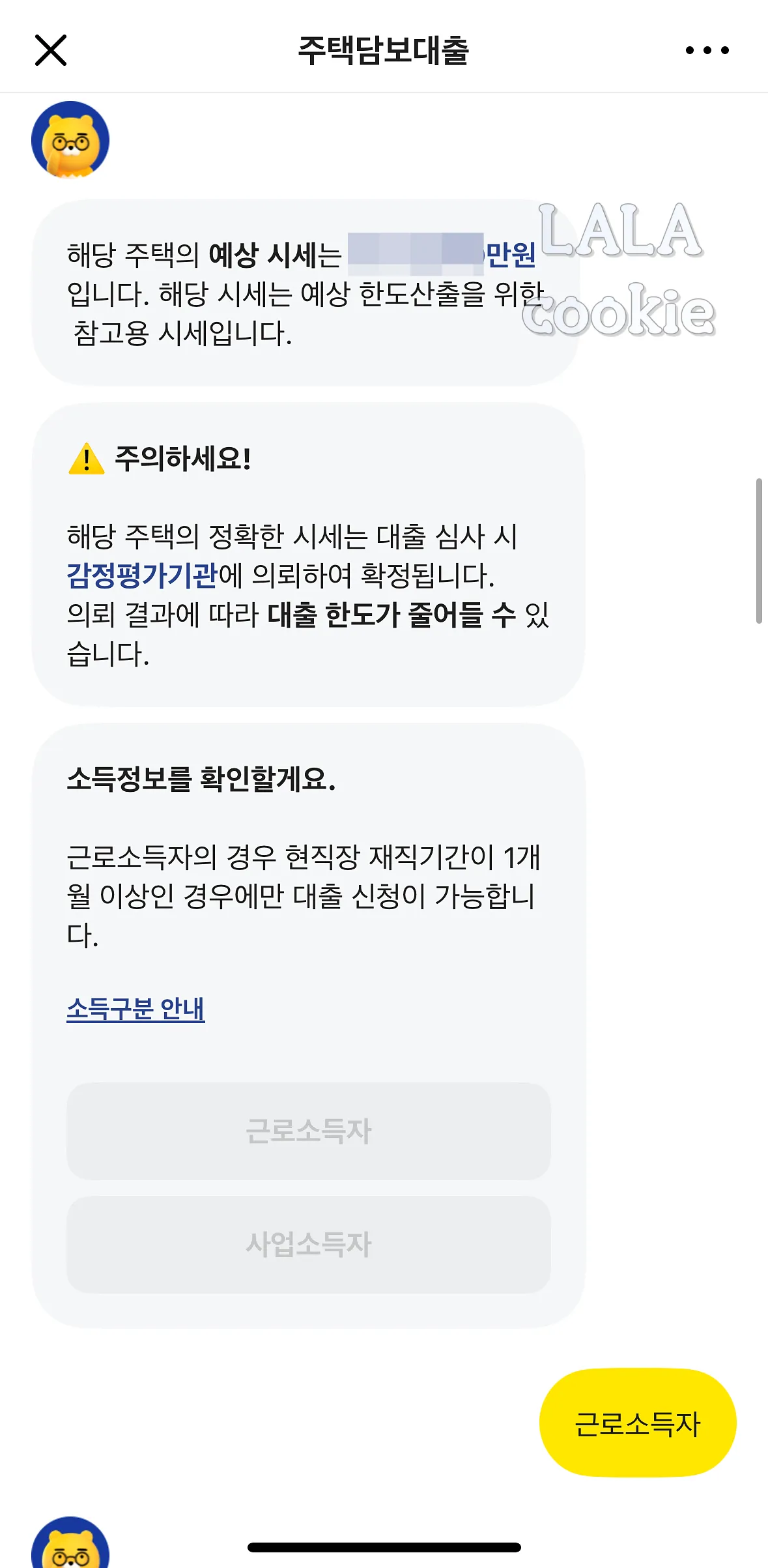 카카오뱅크-주택담보대출-소득-정보