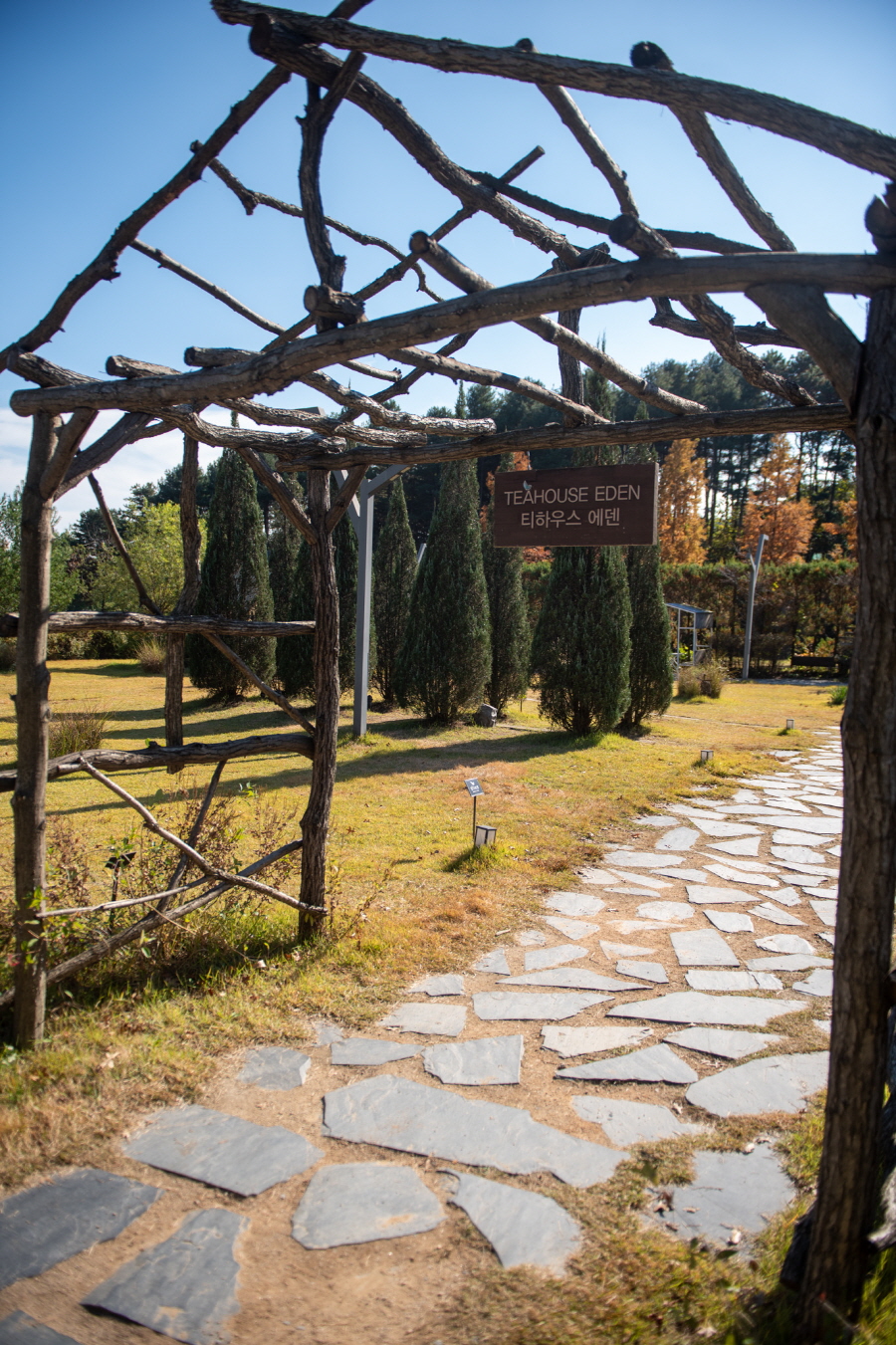 티하우스에덴