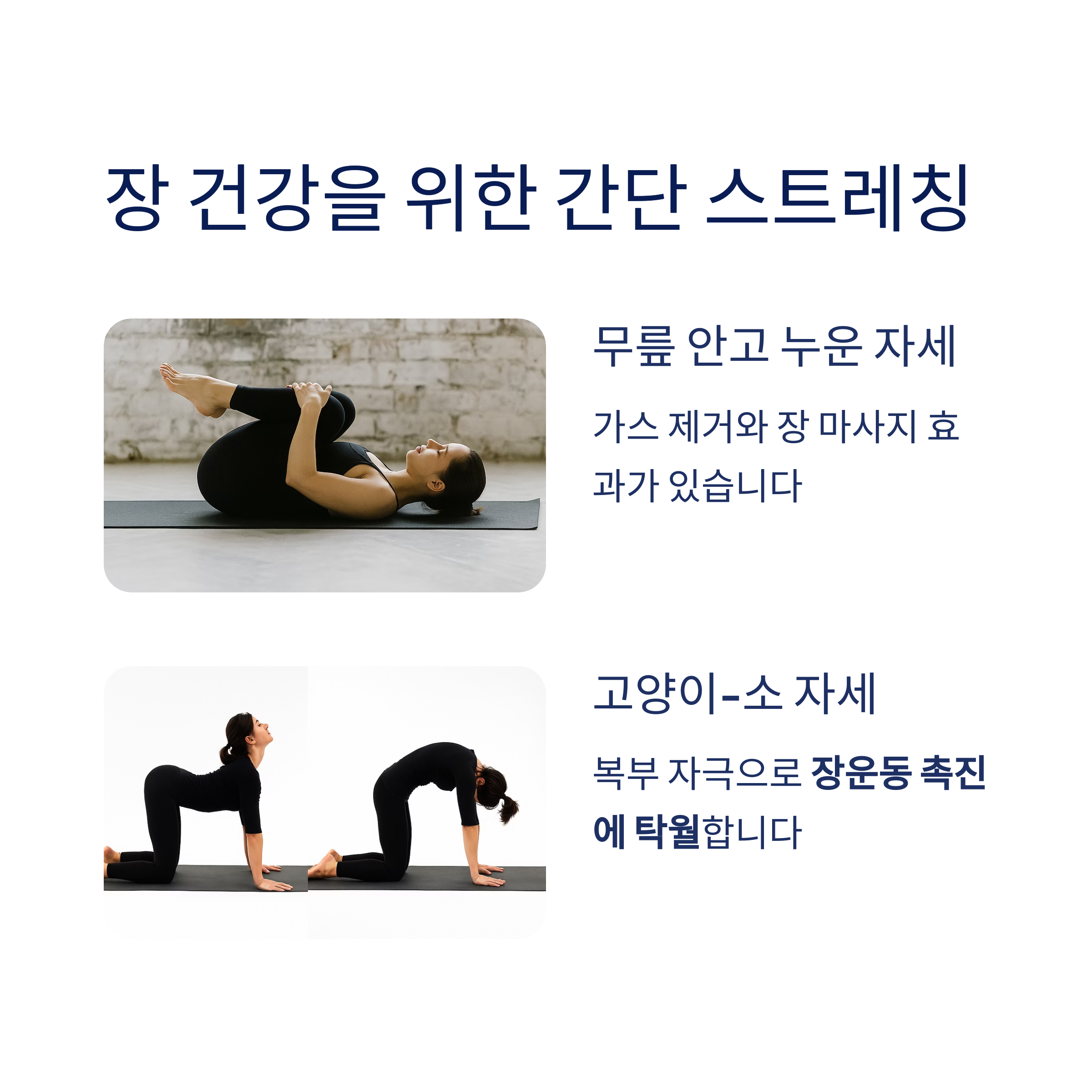 장 건강을 위한 간단 스트레칭