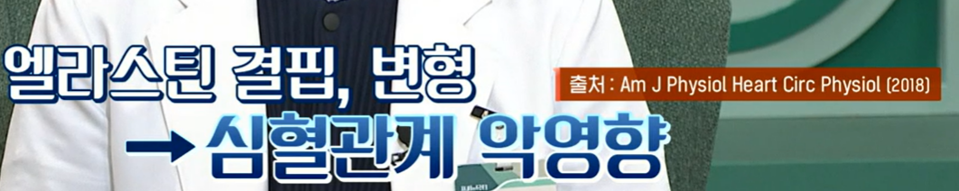 콜라겐과 엘라스틴이 중요한 이유