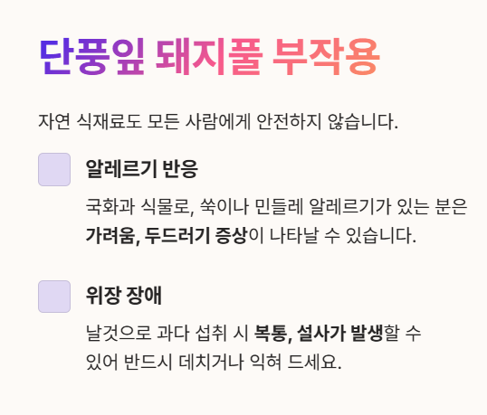 단풍잎 돼지풀 부작용 1