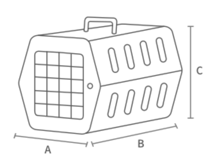 반려동물 비행기