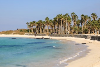 여름 바다 추천