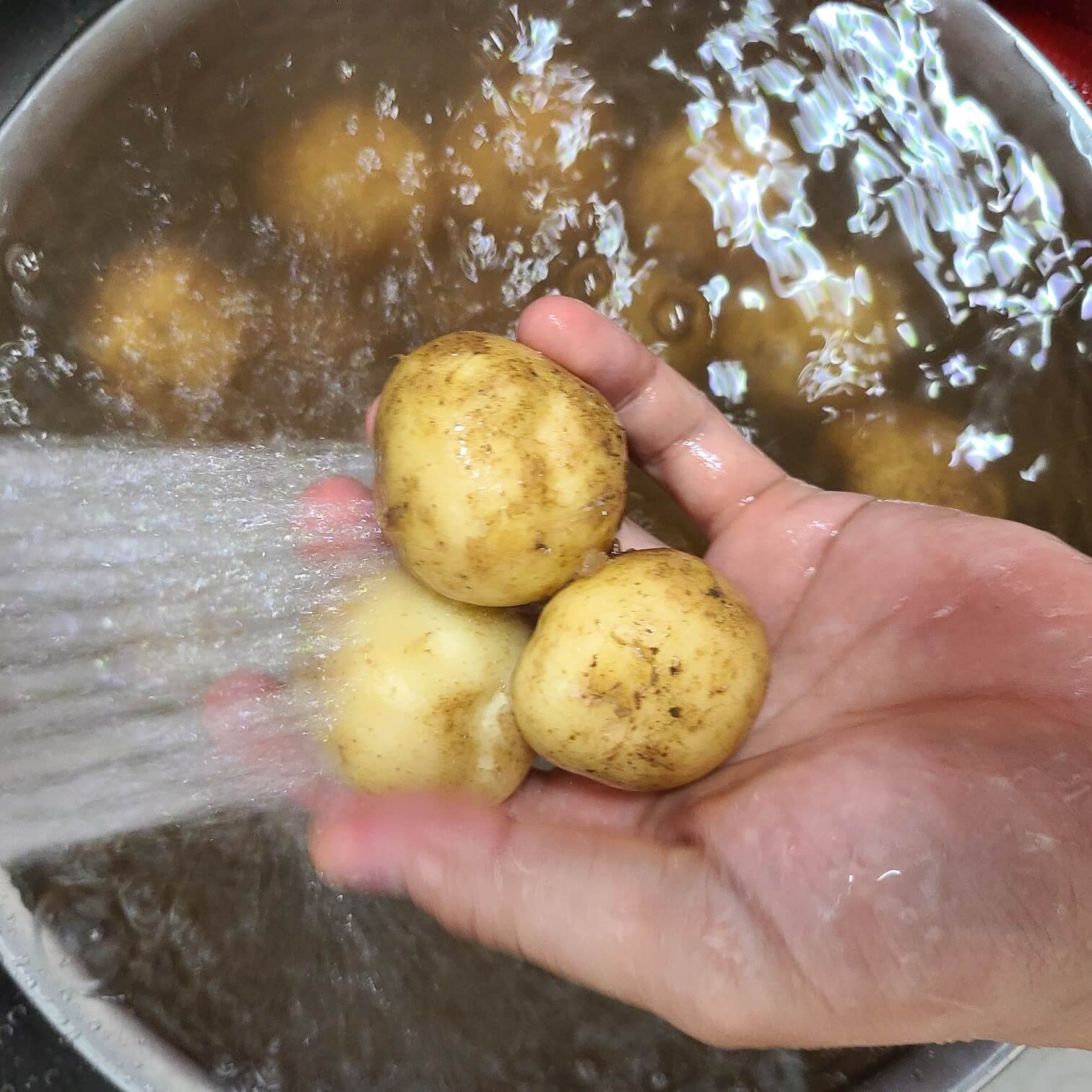 알감자 손질 알감자 껍질