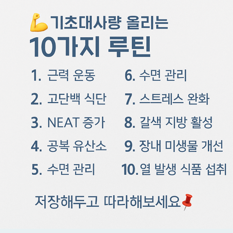 기초대사량 올리는 10가지 루틴 요약표 이미지