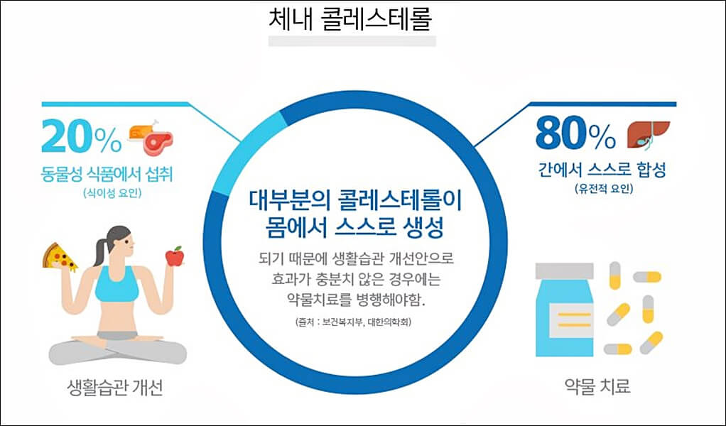 폴리코사놀 효능 부작용 총정리