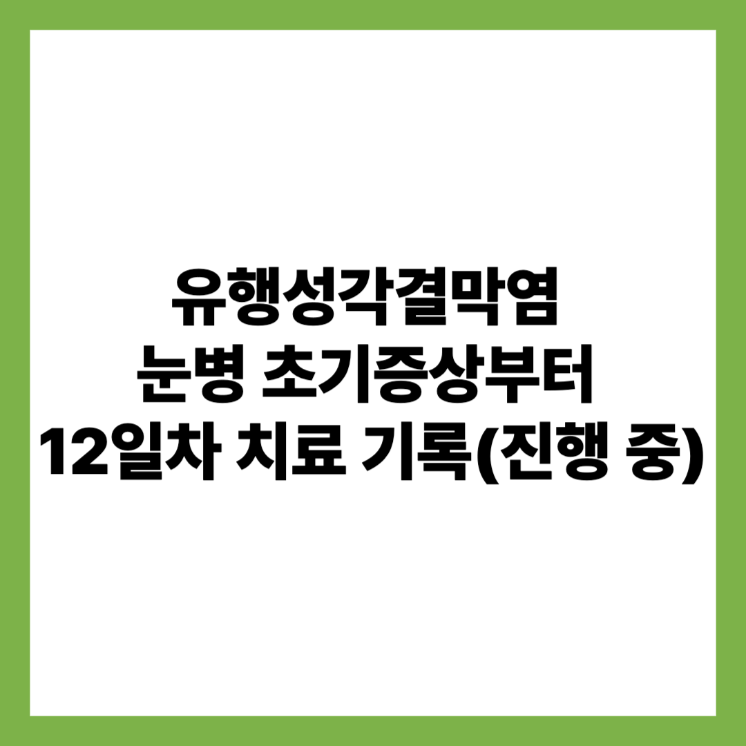 유행성각결막염 눈병 초기증상부터 12일차 치료 기록(진행 중)