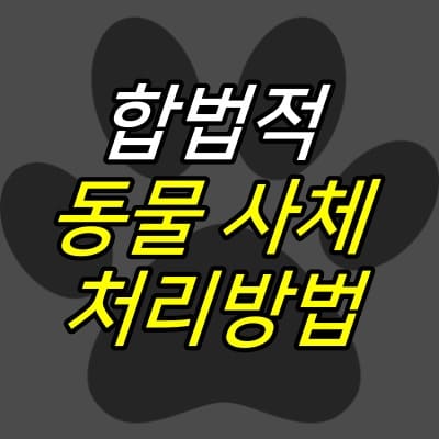 발바닥-그림-위에-합법적-동물-사체-처리방법-글자가-적혀있다.