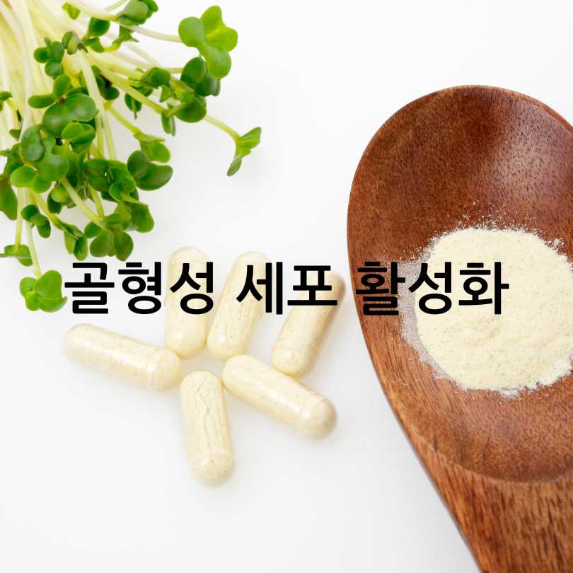 MBP의 효능&amp;#44; 부작용&amp;#44; 복용방법