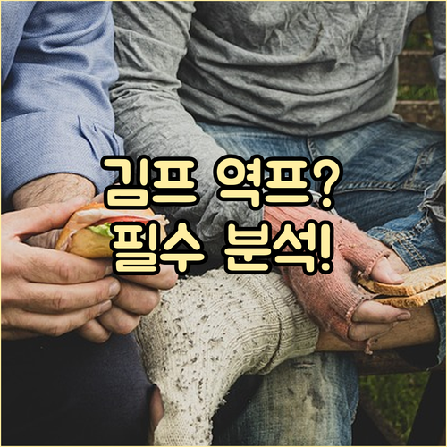 김프 역프란 무엇인가 발생 원인 투자..