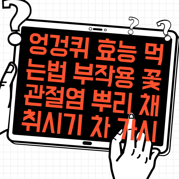 엉겅퀴 효능 4가지와 먹는법 부작용 꽃 관절염 뿌리 채취시기 차 가시엉겅퀴