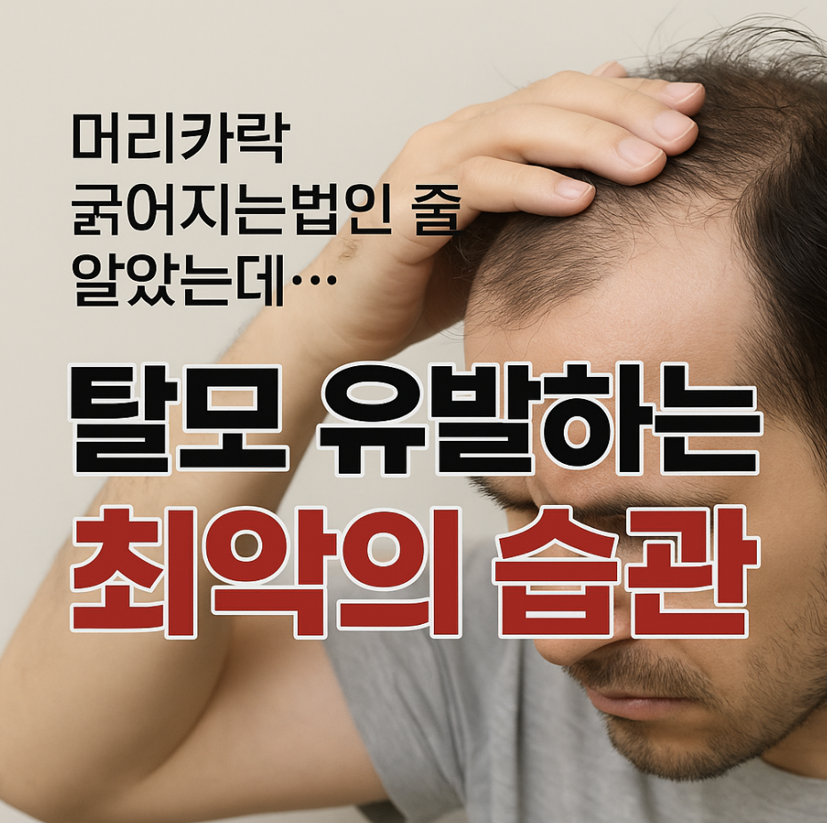 머리카락 굵어지는법인 줄 알았는데… 탈모 유발하는 최악의 습관