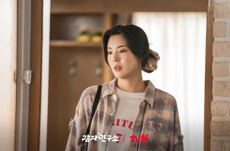 감자연구소 정주행 전 필수 정보! 등장인물&middot;공식영상&middot;OTT 비교