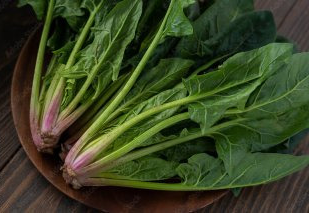 마그네슘 효능 부작용 올바른 복용법 하루 권장량