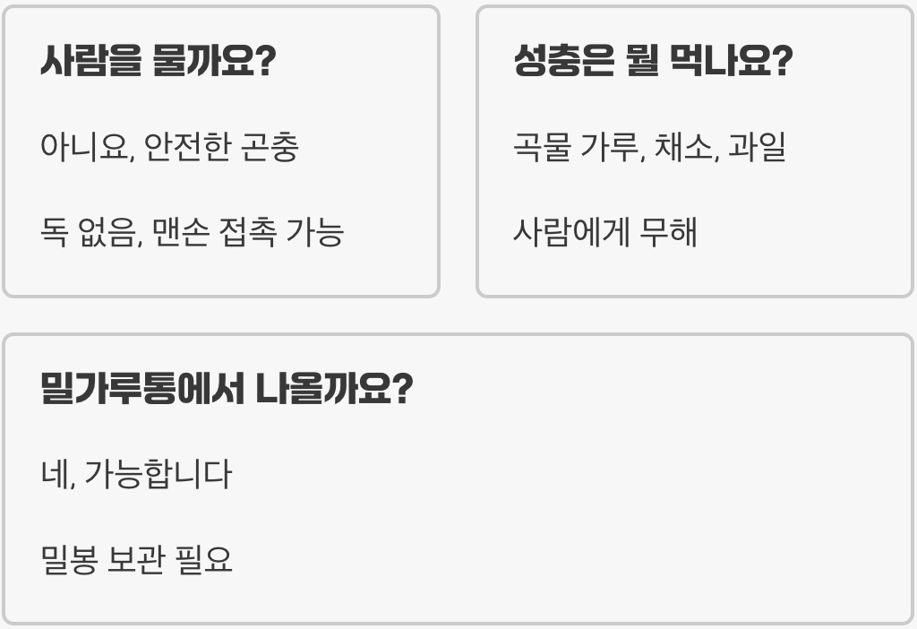 밀웜 이름의 유래, 왜 '밀' 벌레라고 불릴까?
