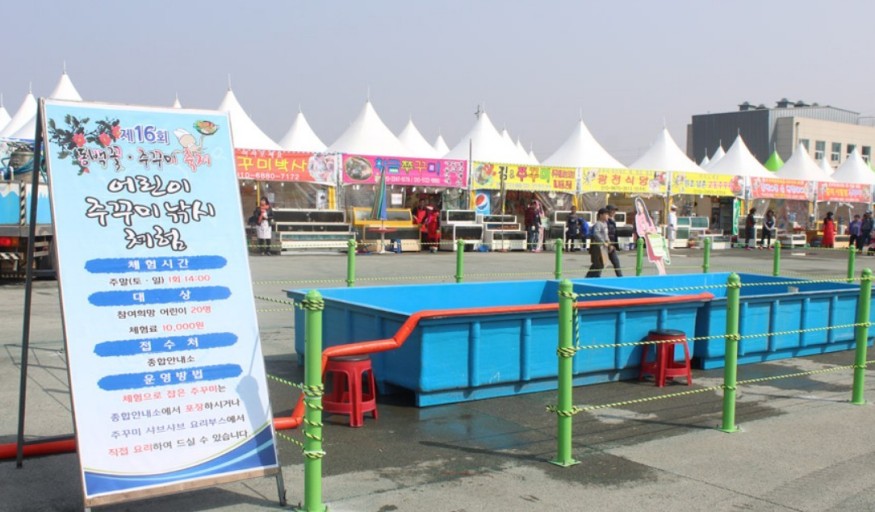 서천 동백꽃 주꾸미 축제