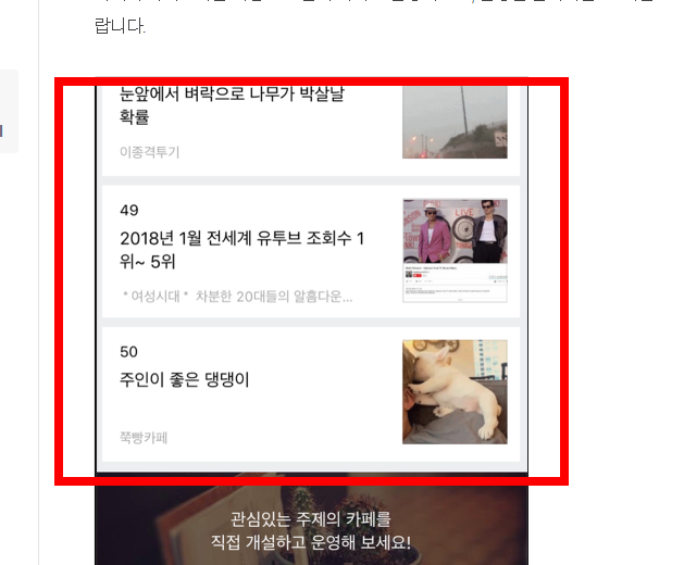 다음 자동로그인 설정, 해제 방법