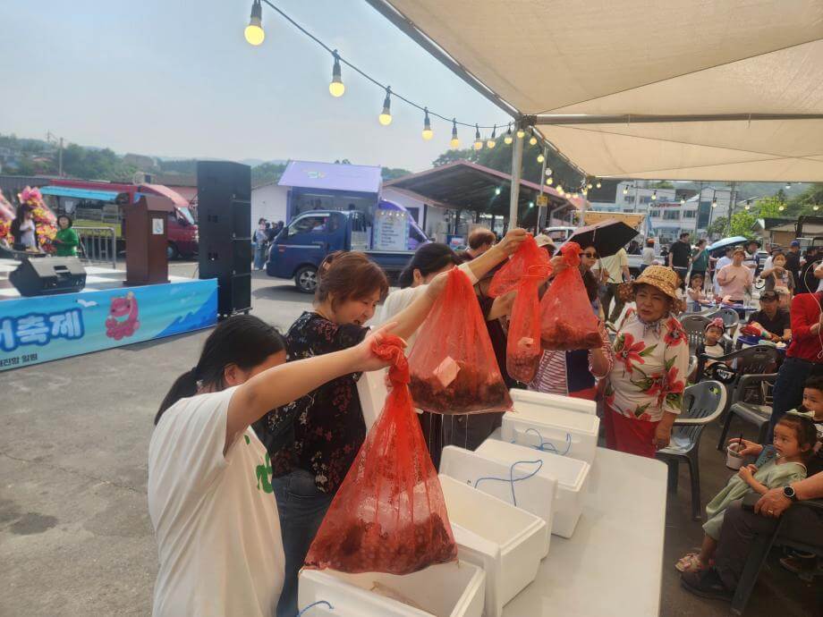저도 대문어축제