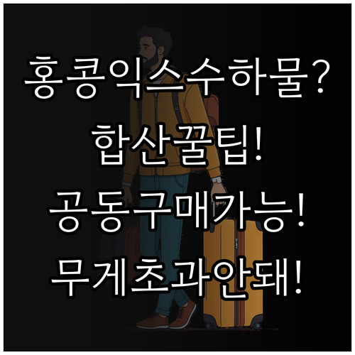 홍콩익스프레스 수하물 무게 합산과 공..