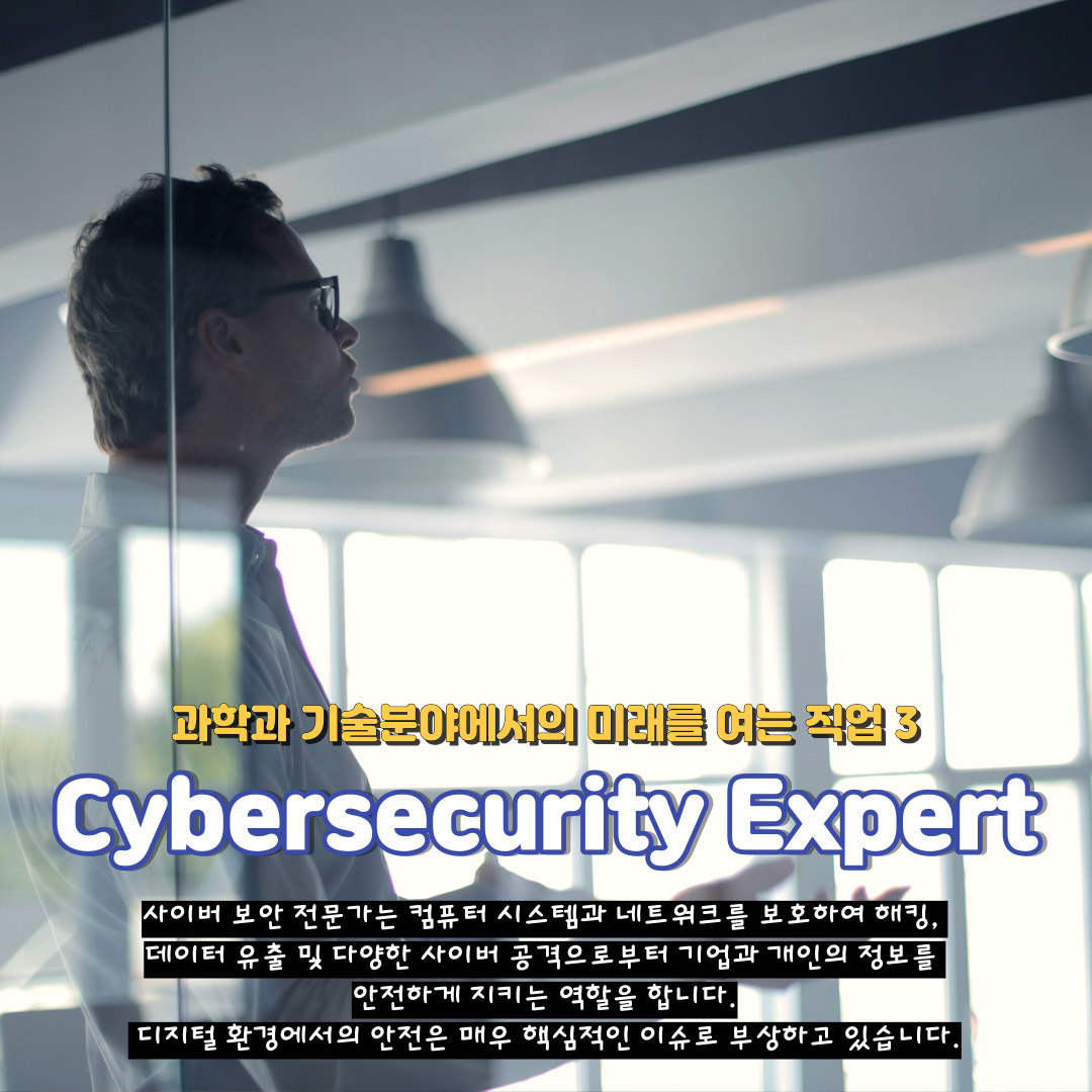 Cybersecurity Expert