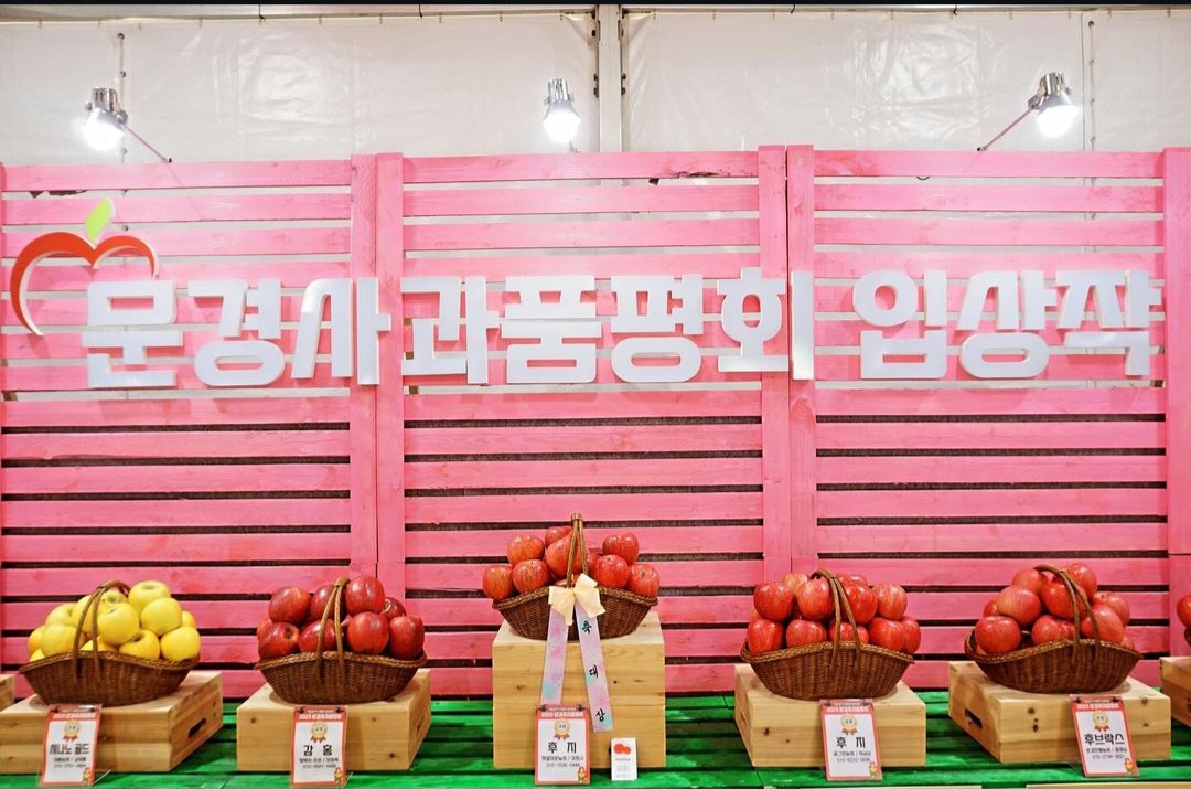 문경사과축제-감홍사과