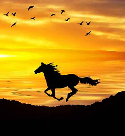 힘차게 달리는 말