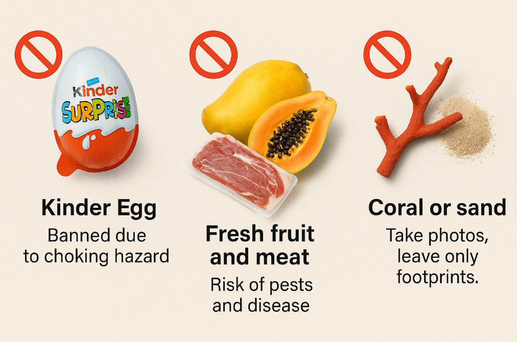 미국 세관 금지품 3가지 인포그래픽 이미지