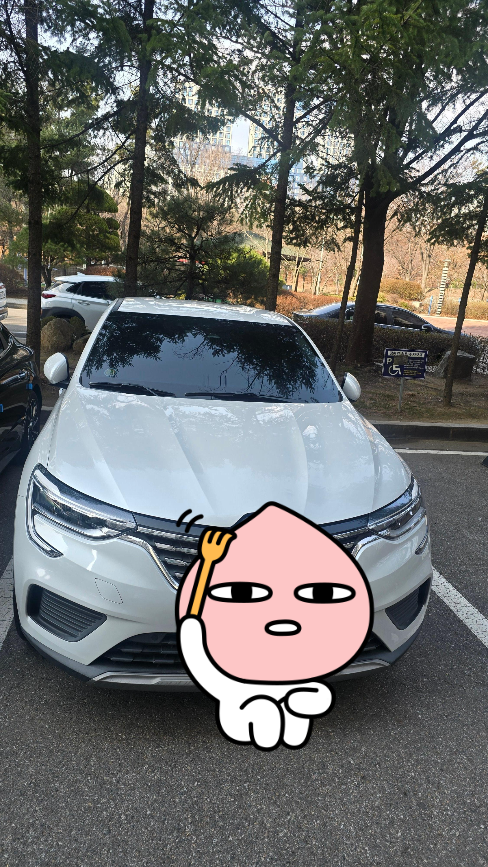 룸미러 후방카메라 설치 시 '이것' 꼭 확인하세요!
