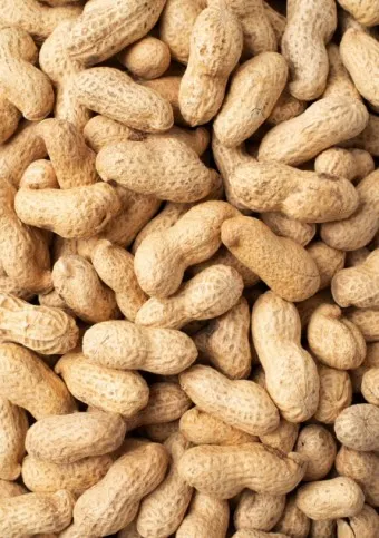 땅콩 칼로리 영양성분 과다섭취 부작용_7