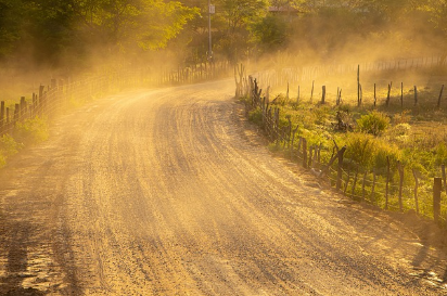 '콜록콜록' 봄철 미세먼지·황사 주의! 기관지 건강에 좋은 무(蘿蔔)의 효능과 활용법!