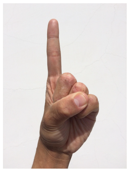 1인 가구가 받을 수 있는 지원금 총정리 (청년·직장인·무직 숨은 혜택까지)