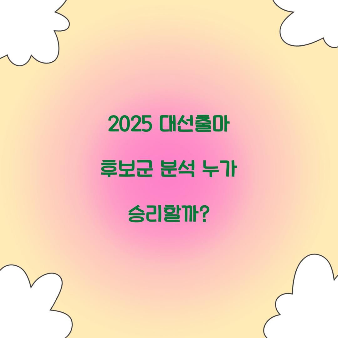 2025 대선출마