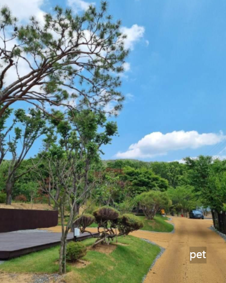 경기-하남-따봄캠핑장-예약-방법-애견-동반-가격-주소-시간-후기