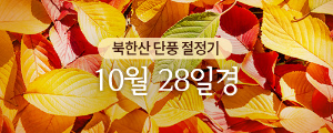 서울단풍 96선
