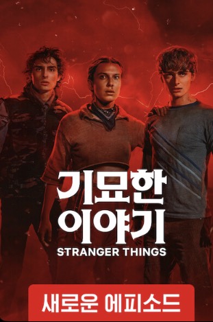 넷플릭스 대한민국 TOP10 정리, 지금 가장 많이 본 인기 작품은?